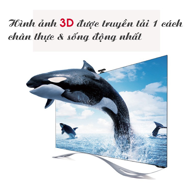 Cáp HDMI 2.0, độ phân giải 4K,3D@60Hz dài 3M V-H205 VEGGIEG