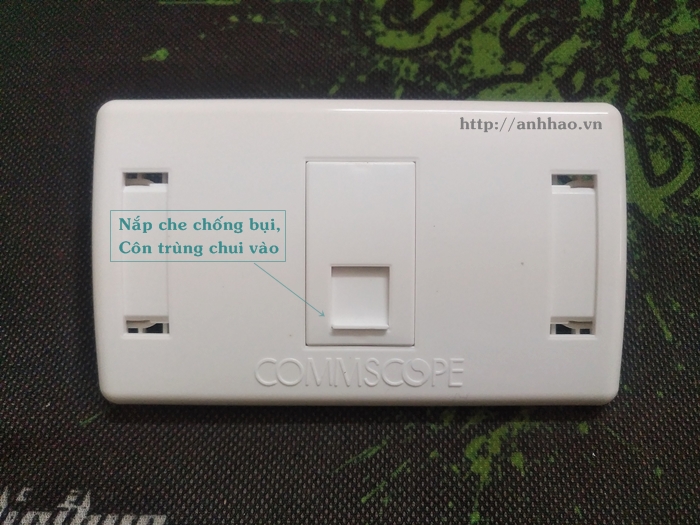 Mặt wallplate chữ nhật 1 cổng Commscope trắng (mẫu mới) - face plate rj45 wall plate