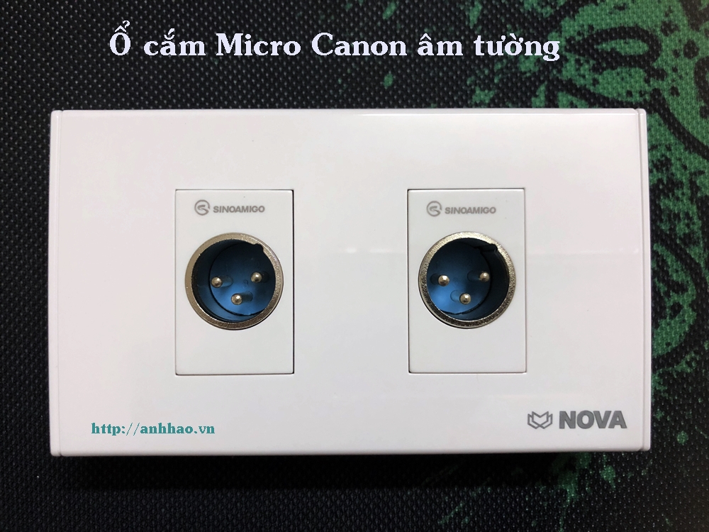 Ổ cắm Micro Canon âm tường