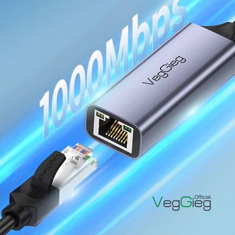 Cáp chuyển USB-C to Lan 10/100/100 Veggieg V-K308