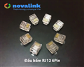 hop-dau-bam-RJ12-6Pin-Novalink