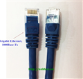 Dây nhảy cat6 dài 5M Sinoamigo SN: 20207 (xanh)