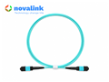 Dây nhảy quang MPO 12 lõi OM4 dài 1.5m vỏ LSZH 3.0mm Novalink NV-61611A