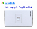 Mặt ổ mạng RJ45 cat6 âm tường