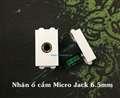 Nhân ổ cắm Micro Jack 6.5mm dùng cho micro