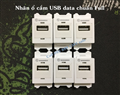 Nhân ổ cắm USB data chuẩn Full lắm âm tường, âm bàn