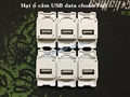 Nhân ổ cắm USB data chuẩn Full lắm âm tường, âm bàn