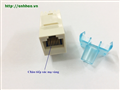Ổ cắm nhân mạng wallplate cat5 AMP/ Commscope PN: 1375191-1