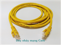 Patch cord, dây nhảy cat6 dài 1M NV:21102-A chính hãng